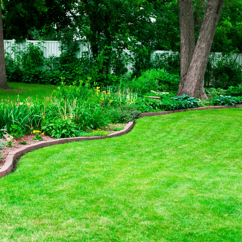 lawn