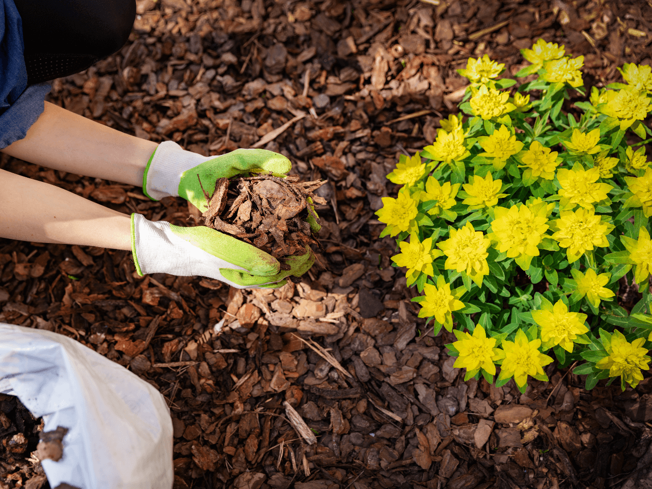 Mulch Installation & Bed Maintenance