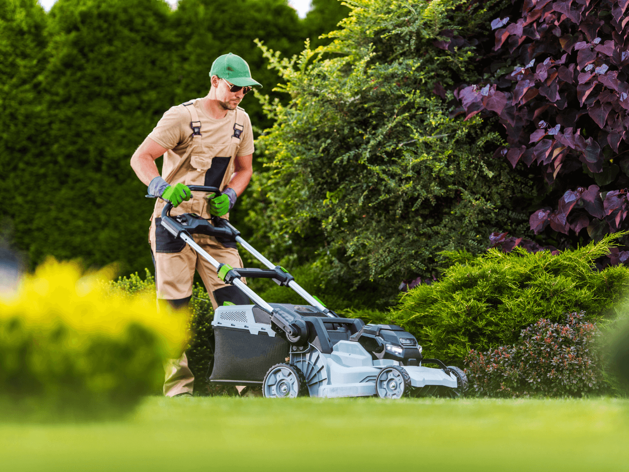 lawn care