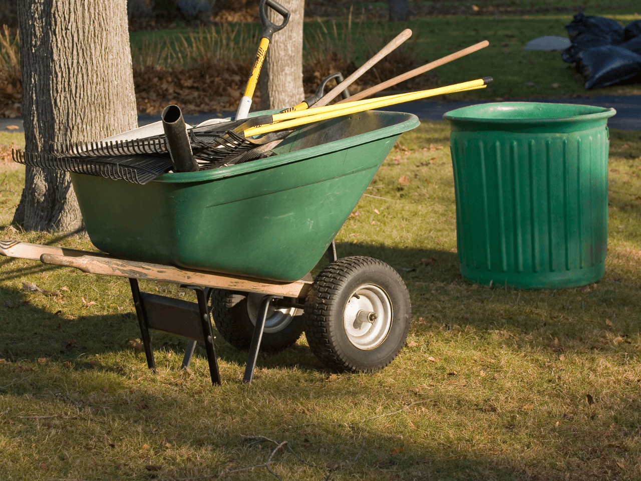 Seasonal Yard Cleanups