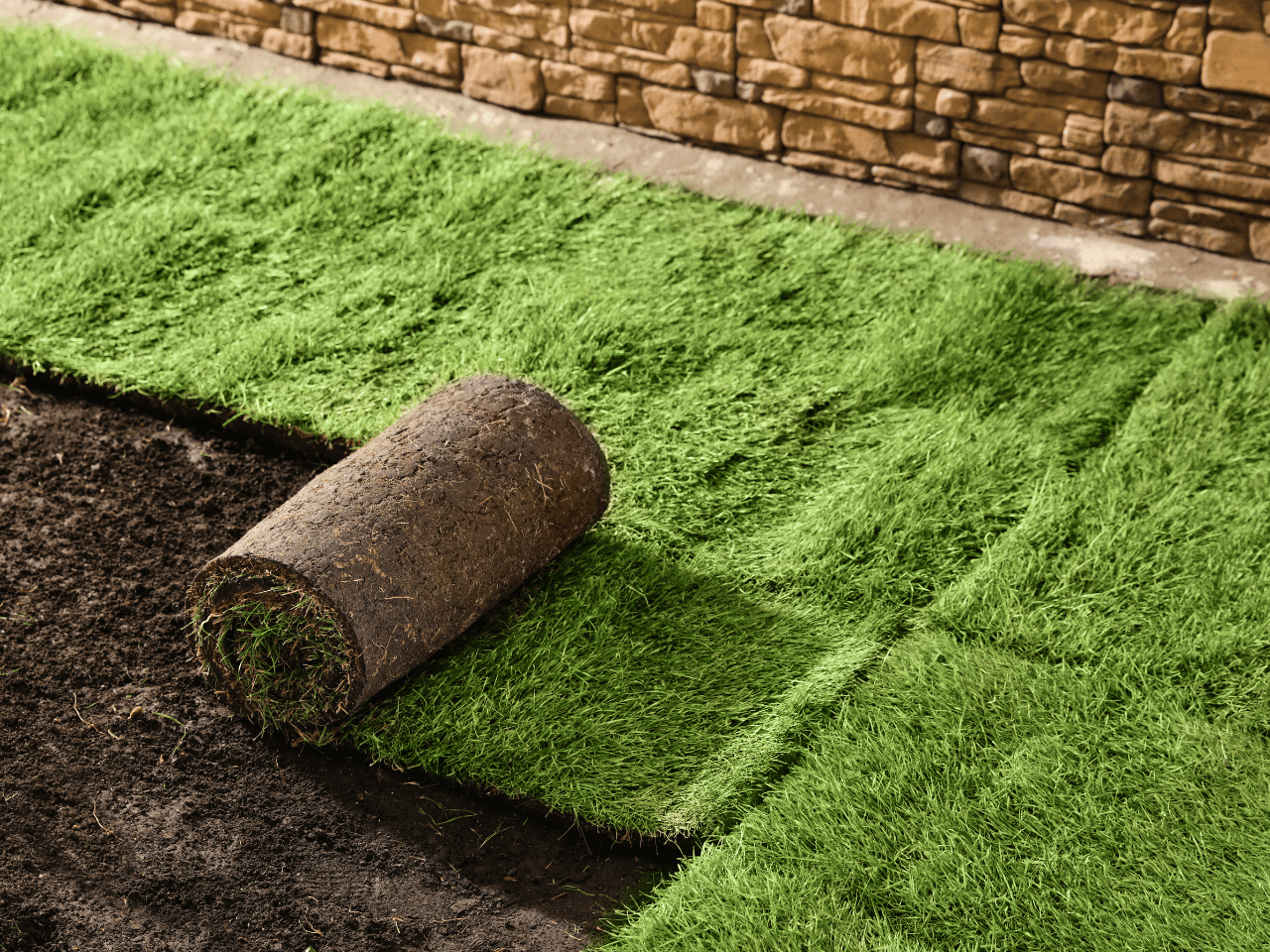 Sod Installation
