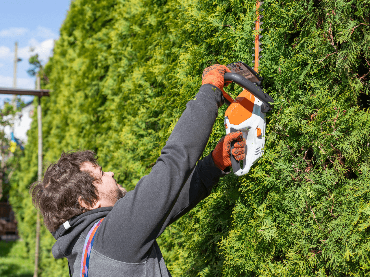Shrub & Hedge Trimming