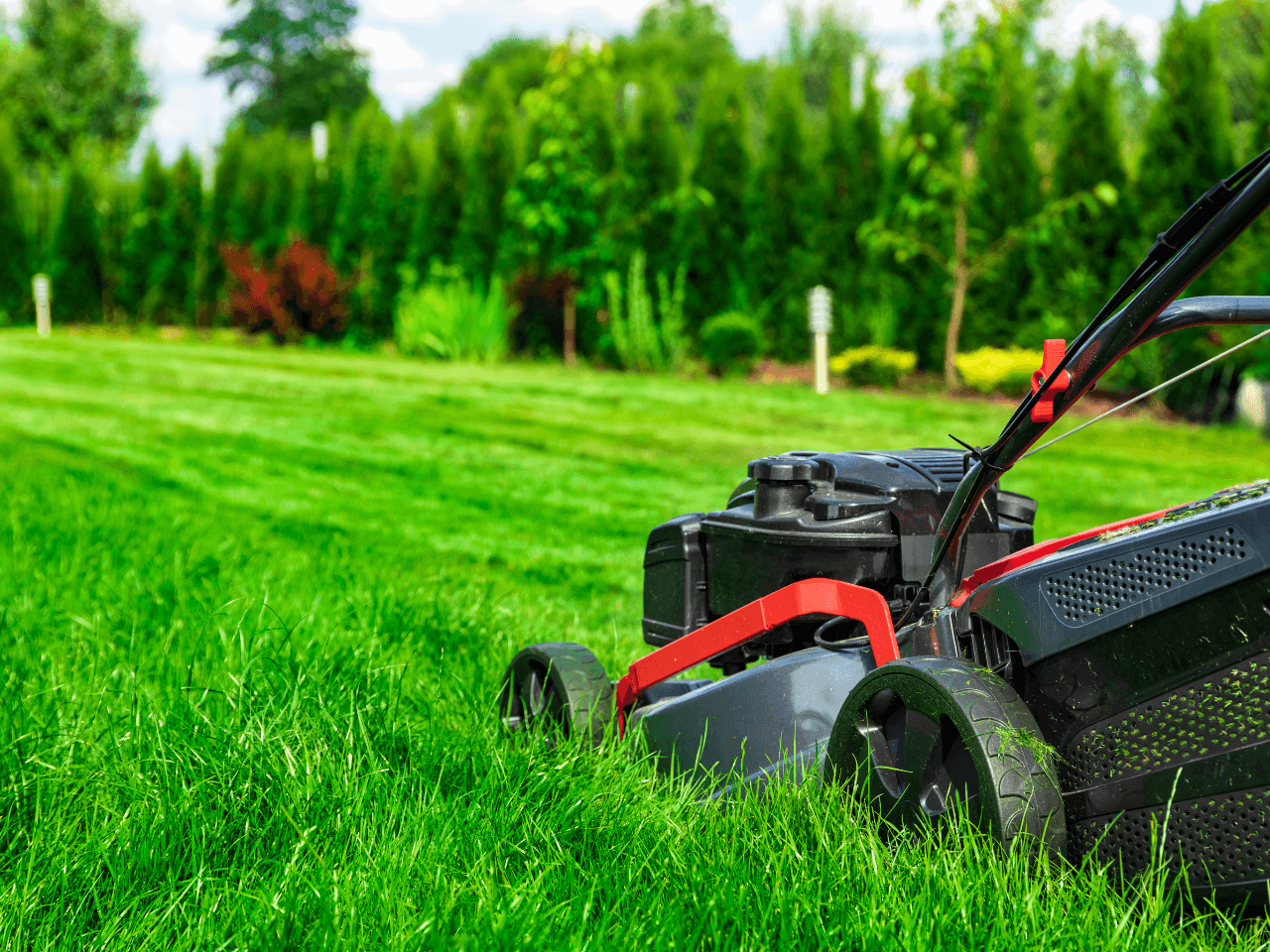 Lawn Mowing & Maintenance