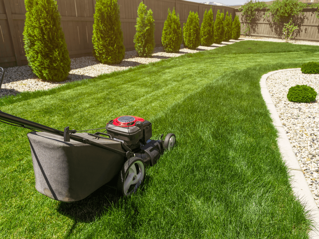 Lawn Mowing & Maintenance