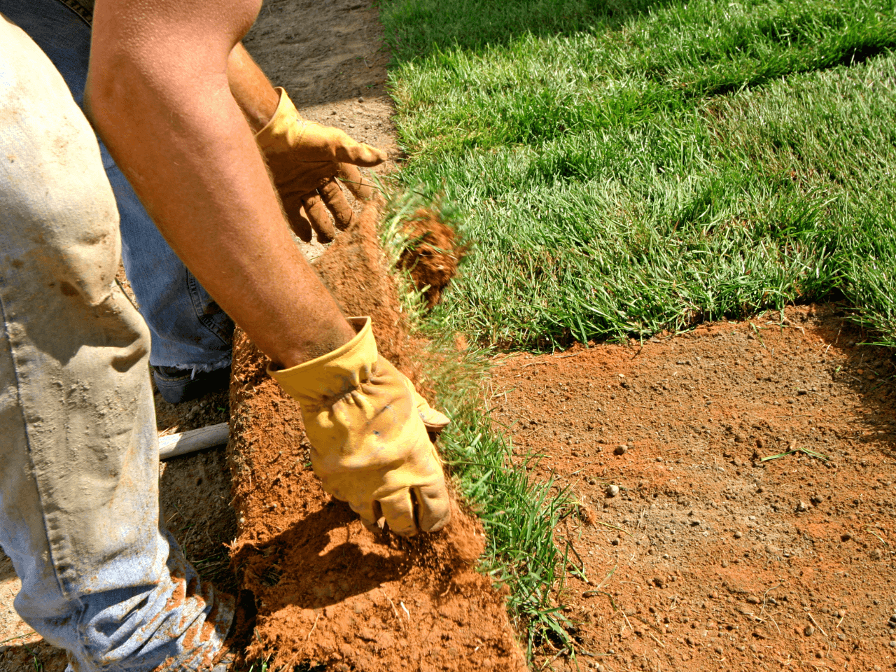 Landscape Design & Installation